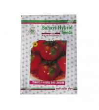 Tomato Shri Lakshmi 10 grams